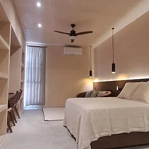 Mid-498 Centro Apartamento
